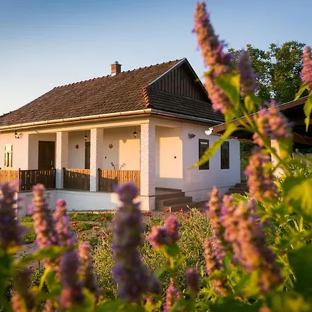 Апартаменты Csenger Vendeghazak Matraverebely Экстерьер фото